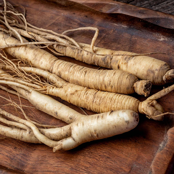Extracto de raíz de Panax ginseng